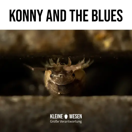 E13: Konny and the blues