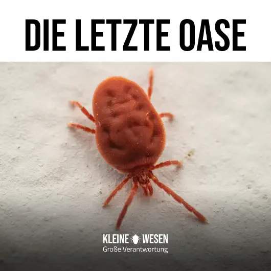E7: Die letzte Oase