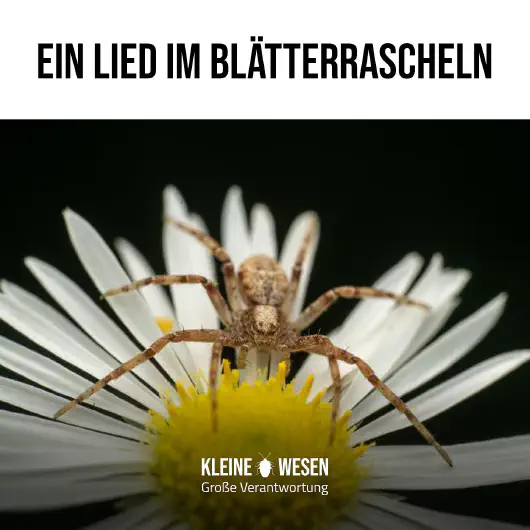 E9: Ein Lied im Blätterrascheln