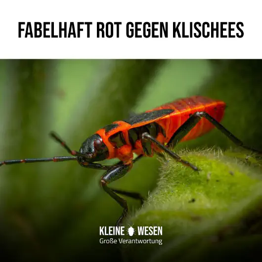 E10: Fabelhaft rot gegen Klischees