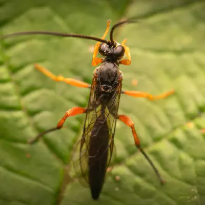 Den großen Ruhm knapp verpasst – aber ich freue mich trotzdem!