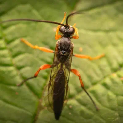 Close to the big time – but I'm still happy!