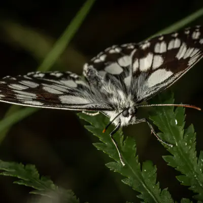 Uns hat ein Leserbrief erreicht