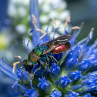 Outside the shoe shop