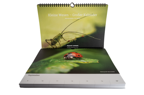 Jetzt erhältlich als Dank für eine Spende!